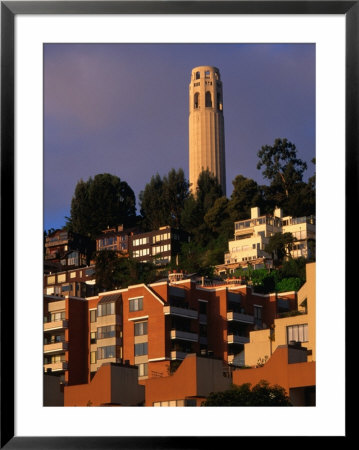 Apartment Buildings With Coit Tower Behind, San Francisco, Usa by John Elk Iii Pricing Limited Edition Print image