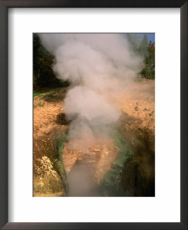Shooting Steam From Dragon's Mouth Spring On Mud Volcano Trail, Yellowstone Nat. Park, Wyoming, Usa by Stephen Saks Pricing Limited Edition Print image