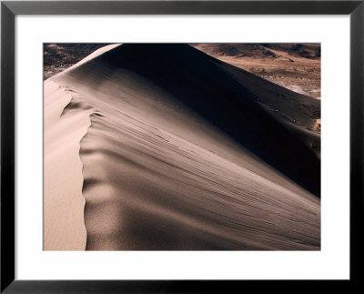 Dune, Bruneau Dunes State Park Near Mountain Home, Boise, U.S.A. by Mark Newman Pricing Limited Edition Print image