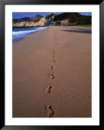 Footprints On The Uncrowded Beach Of Grand Anse, Les Saintes, Guadeloupe by Greg Gawlowski Pricing Limited Edition Print image