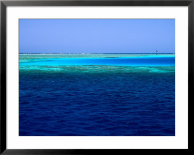 Abu Nuhas (Ships' Graveyard) Dive Site In Red Sea, Egypt by Jean-Bernard Carillet Pricing Limited Edition Print image