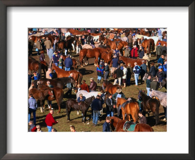 The Masses Gather For The Ballinasloe Horse Fair, Ballinasloe, Ireland by Doug Mckinlay Pricing Limited Edition Print image