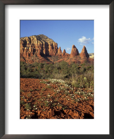 Red Rock Country With Spring Flowers, Sedona, Arizona, Usa by Jamie & Judy Wild Pricing Limited Edition Print image