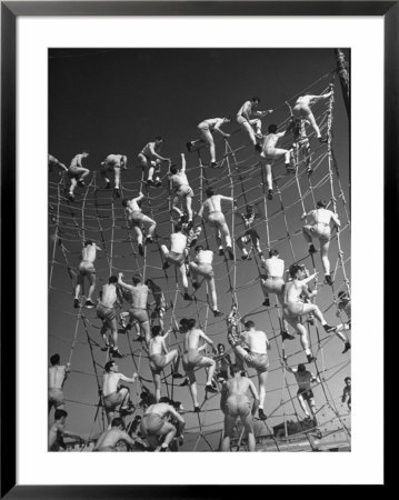 Cadets In The Us Navy Climbing Rope Wall During Obstacle Course by Dmitri Kessel Pricing Limited Edition Print image