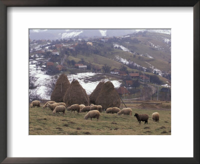 Sheep And Landscape, Bran Region, Romania by Gavriel Jecan Pricing Limited Edition Print image