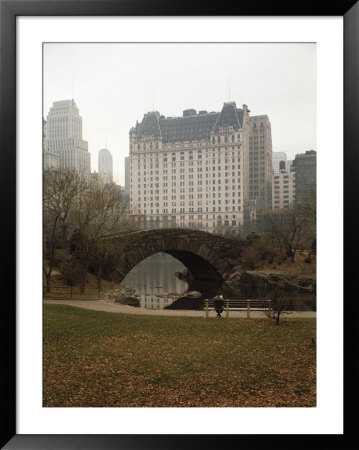 View From Central Park With Plaza Hotel In The Distance by Dmitri Kessel Pricing Limited Edition Print image