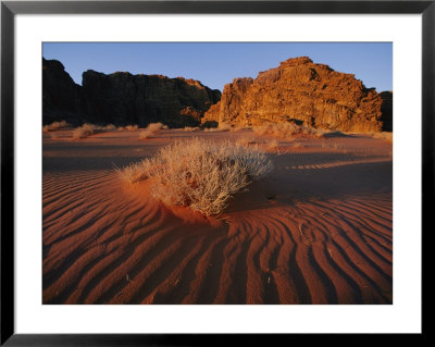 Desert Scene by Annie Griffiths Belt Pricing Limited Edition Print image