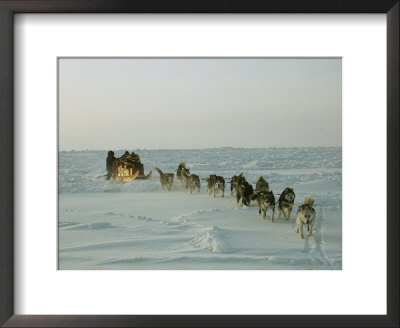 Huskies Carry A Sled Across Windblown Ice During An Expedition Traversing The North Pole by Gordon Wiltsie Pricing Limited Edition Print image