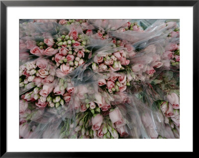 Bundles Of Pink Roses Are Gathered For Sale by Sisse Brimberg Pricing Limited Edition Print image