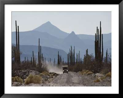A Truck Travels Through A Landscape Of Mountains And Saguaro Cacti by Annie Griffiths Belt Pricing Limited Edition Print image