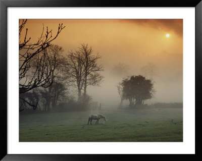 The Countryside Around Swansea, Birthplace Of Dylan Thomas by Farrell Grehan Pricing Limited Edition Print image