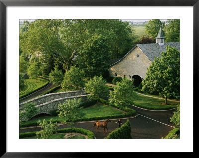 View Of Barn And Grounds Of Ashford Stud, A Prestigious Horse Farm by Melissa Farlow Pricing Limited Edition Print image