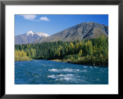 Clear Flowing Honolulu Creek And Fall Colors by Rich Reid Pricing Limited Edition Print image