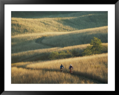 Bicyclists Pedal A Trail Through The Rolling Hills by Skip Brown Pricing Limited Edition Print image