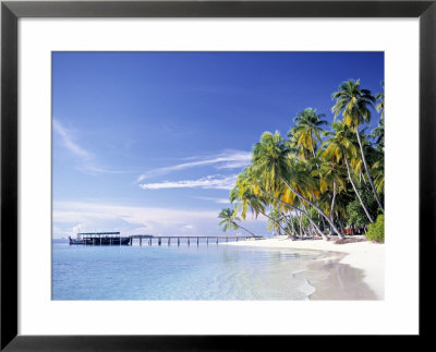 Tropical Beach And Palm Trees, Maldives, Indian Ocean by Danielle Gali Pricing Limited Edition Print image