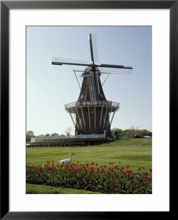 A Blurry Windmill Against A Blue Sky by Scott Berner Pricing Limited Edition Print image