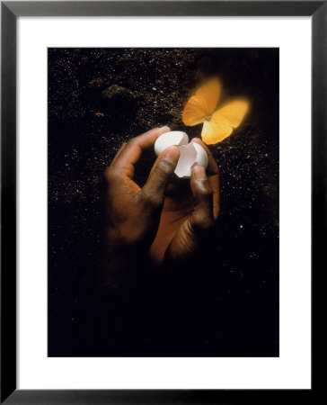 Hand With Egg Shell And Butterfly by Howard Sokol Pricing Limited Edition Print image