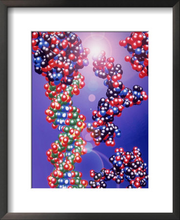 Dna Double Helix And Protein by Jacob Halaska Pricing Limited Edition Print image