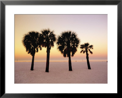 Clearwater Beach, Florida, Palm Trees At Dawn by John Coletti Pricing Limited Edition Print image