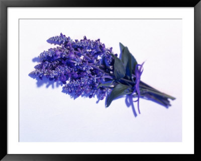 Bouquet Of Lavender by Peter Ardito Pricing Limited Edition Print image