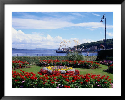 Garden At Esplanade, Argyll, Scotland by Mark Dyball Pricing Limited Edition Print image