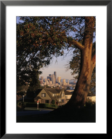 Skyline Seen From Behind Tree, Seattle, Wa by Jim Corwin Pricing Limited Edition Print image