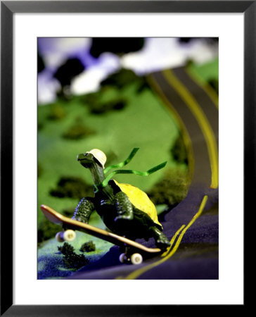 Tortoise Wins The Race With Ingenuity by Eric Kamp Pricing Limited Edition Print image
