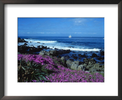 The Monterey Penninsula On A Spring Day by James Blank Pricing Limited Edition Print image
