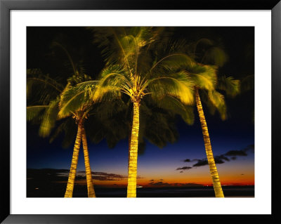 Palm Trees At Dusk, Waikiki Beach, Hi by Walter Bibikow Pricing Limited Edition Print image