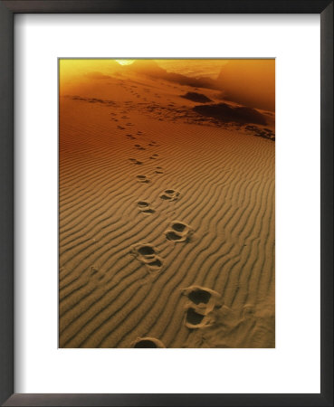 Footprints In The Sand At Sunset by Richard Stacks Pricing Limited Edition Print image
