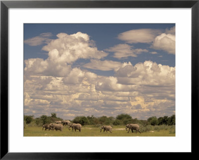 Herd Of Elephants, Etosha National Park, Namibia by Walter Bibikow Pricing Limited Edition Print image