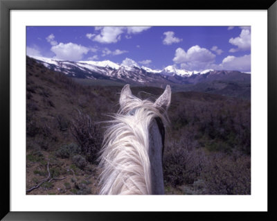 Back Of Horse's Head With Mountains In Background, Co by Terri Froelich Pricing Limited Edition Print image