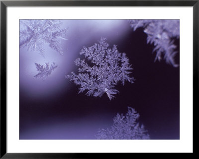 Snowflakes On Window by Lauree Feldman Pricing Limited Edition Print image