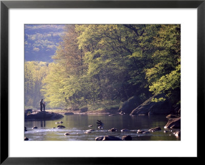 Father And Son Fly-Fishing, Deerfield River, Ma by Kindra Clineff Pricing Limited Edition Print image