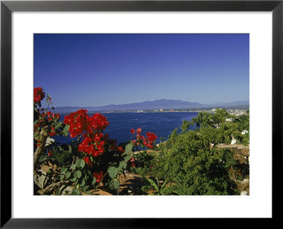 View Of Puerto Vallarta, Mexico by Grayce Roessler Pricing Limited Edition Print image