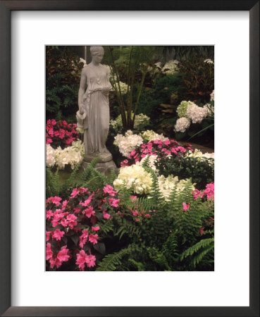 Krohn Conservatory, Cincinnati, Ohio by Priscilla Connell Pricing Limited Edition Print image