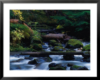 Royal Creek, Or by Frank Staub Pricing Limited Edition Print image