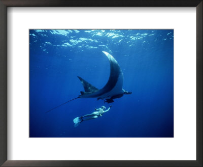 Diver Swims With Giant Manta Ray, Mexico by Jeff Rotman Pricing Limited Edition Print image