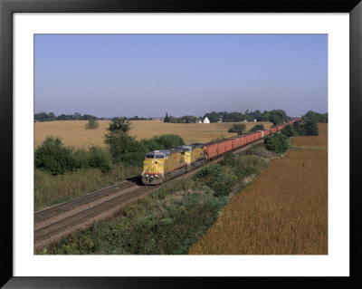 Freight Train In November, Il by Lynn M. Stone Pricing Limited Edition Print image