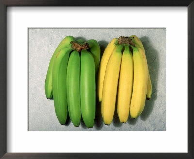 Green And Ripe Bananas by David M. Dennis Pricing Limited Edition Print image