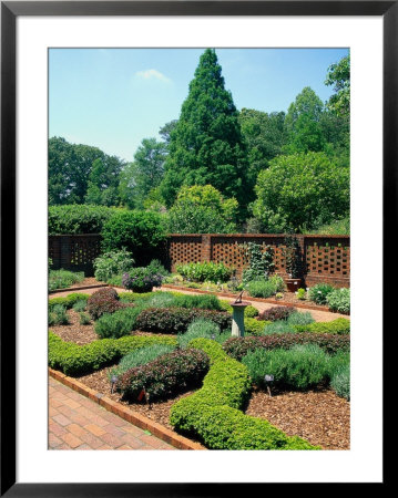 Atlanta Botanical Gardens, Atlanta, Ga by Barry Winiker Pricing Limited Edition Print image
