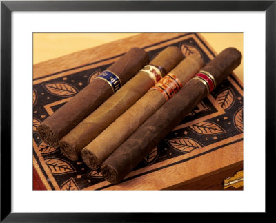 Premium Hand Rolled Cigars On Box by Gary Conner Pricing Limited Edition Print image