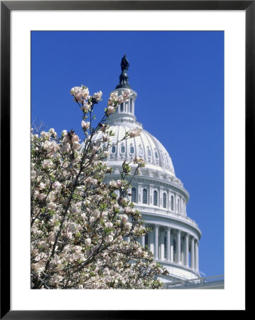 Capitol Building, Washington, Dc by Mark Gibson Pricing Limited Edition Print image