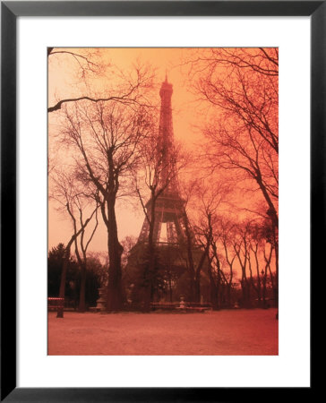 Eiffel Tower, Paris, France by Tamarra Richards Pricing Limited Edition Print image