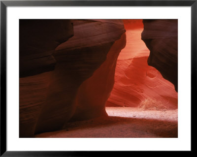 Tumbleweed In Slot Canyon, Az by Bonnie Lange Pricing Limited Edition Print image