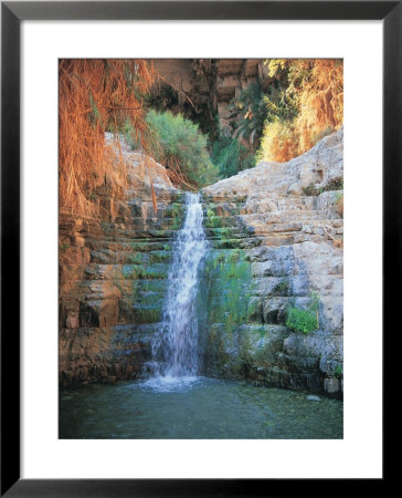 Shulamit Fall At En Gedi Reserve, Israel by Barry Winiker Pricing Limited Edition Print image
