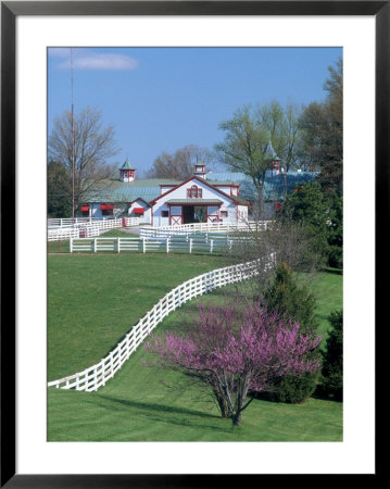 Calumet Horse Farm, Lexington, Ky by David Davis Pricing Limited Edition Print image