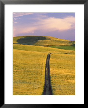 Road Through Wheat Field by Mark Windom Pricing Limited Edition Print image