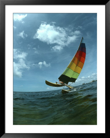 Catamaran Sailing, Biscayne Bay, Miami, Fl by Pat Canova Pricing Limited Edition Print image