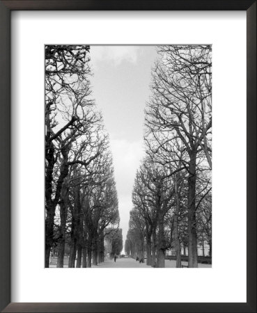 Marco Polo Garden, Boulevard Saint Michel by Walter Bibikow Pricing Limited Edition Print image